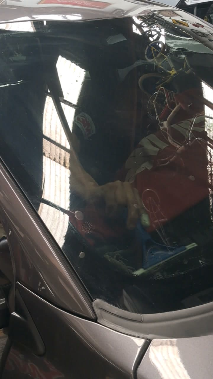 Película sendo aplicada no para-brisa com espátula, na oficina